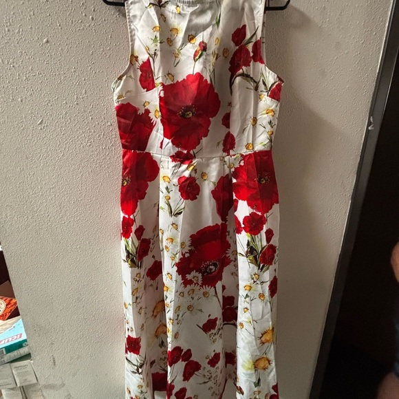 STYLEWE Asymmetrical Floral Dress - Red and White - Picture 4 of 6
